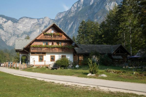 Hiša Erlah Bohinjska Bistrica